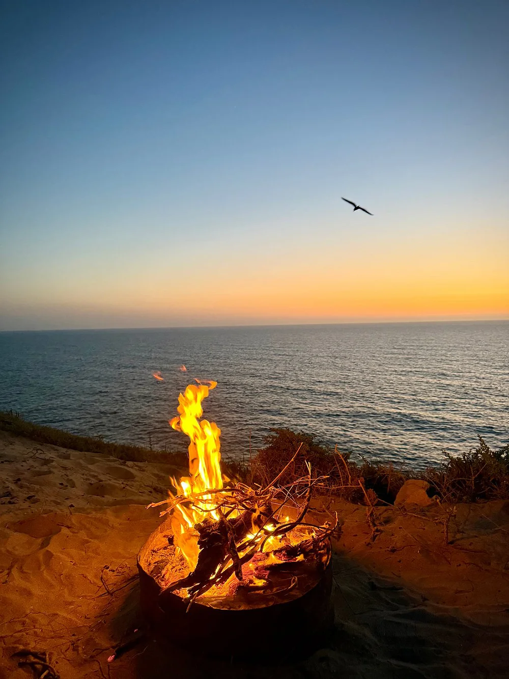 Picnic Dinner or Tea in Timlalin Dunes