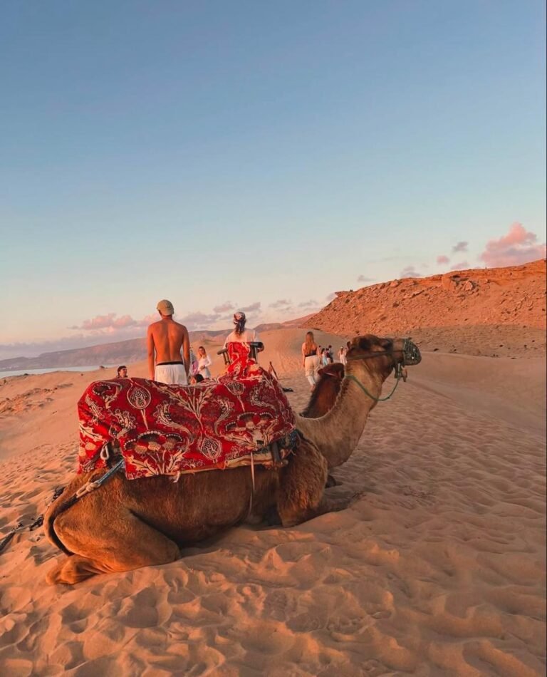 Camel ride at Timlalin Dunes near Agadir