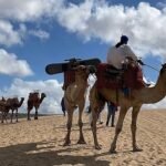 Sandboarding Agadir: 7 Essential Tips for Timlalin Dunes